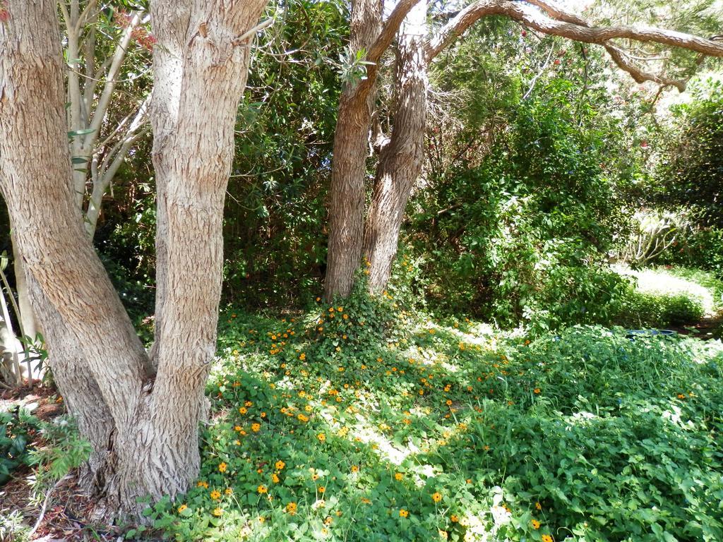 The Hideaway Luxury B&B Retreat Armadale Εξωτερικό φωτογραφία