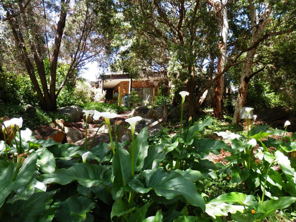 The Hideaway Luxury B&B Retreat Armadale Εξωτερικό φωτογραφία